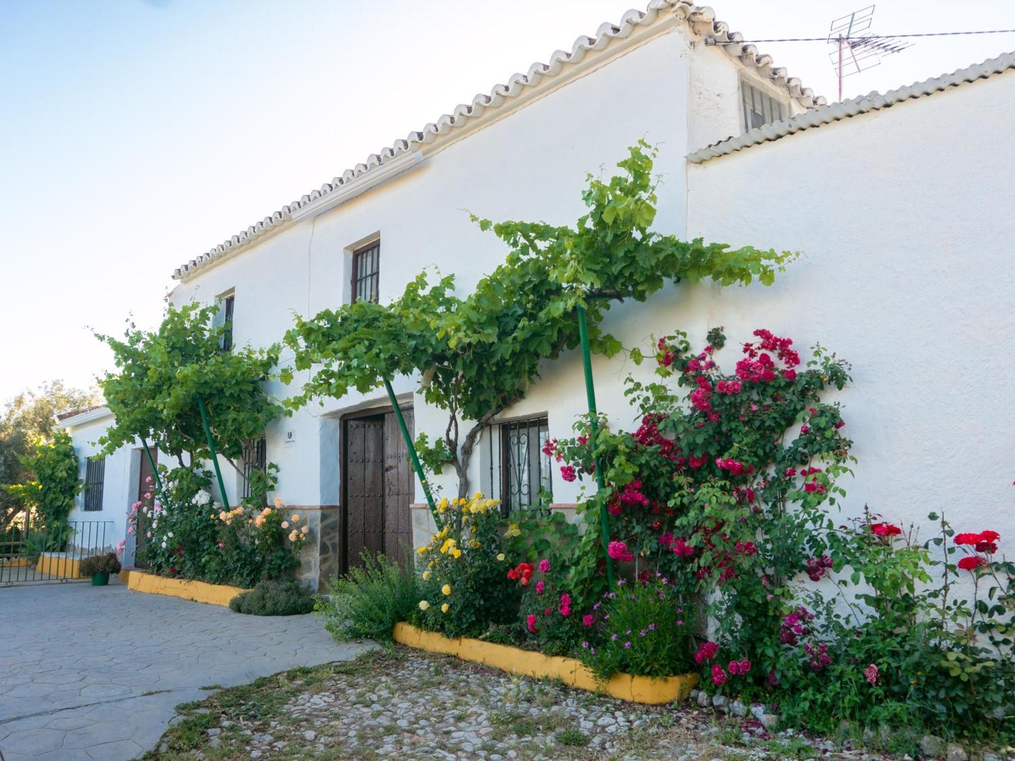 Casa Rural Huerta La Lapa Canete la Real Exterior photo